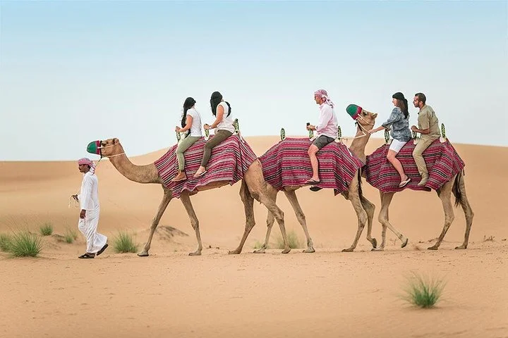 camel-rock--desert-safari